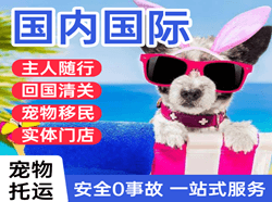 昆明机场物流国际宠物托运 【国